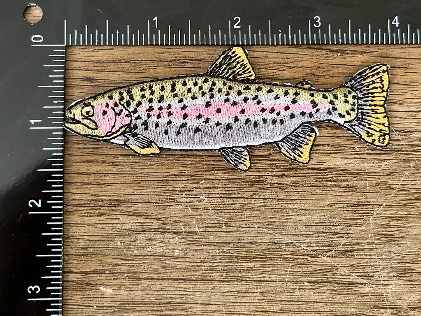 Trout Patch Set of 4 Patches | Rainbow (x2), Brook, Brown