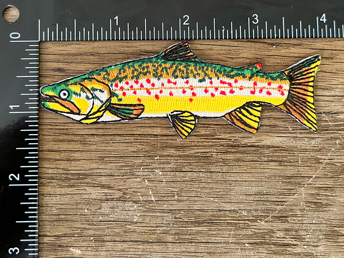 Trout Patch Set of 4 Patches | Rainbow (x2), Brook, Brown