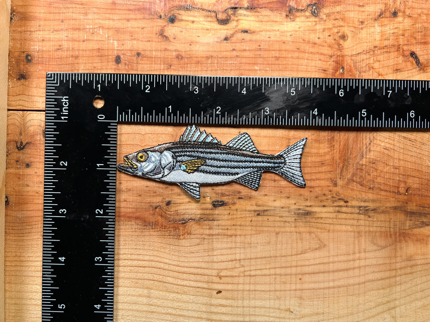 Striped Bass Embroidered Patch | 4 Inch Iron On Fishing Patch for Hats, Jackets & Gear