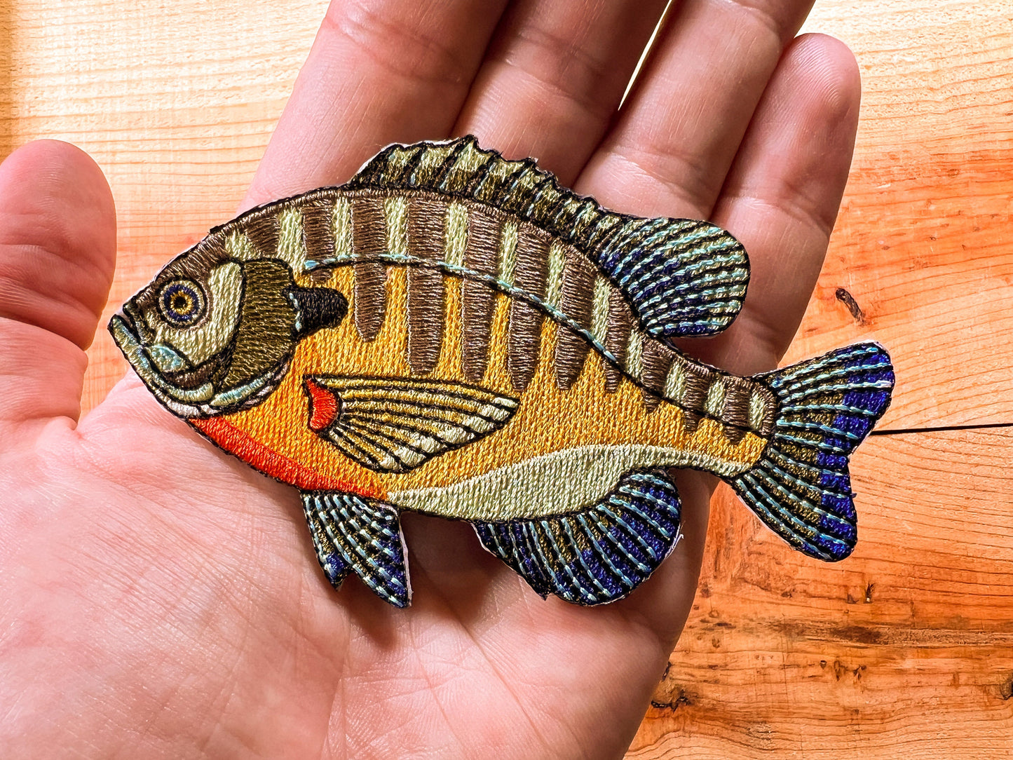 Freshwater Patch Set of 5 | Largemouth Bass, Bluegill, Pike, Smallmouth Bass, Walleye