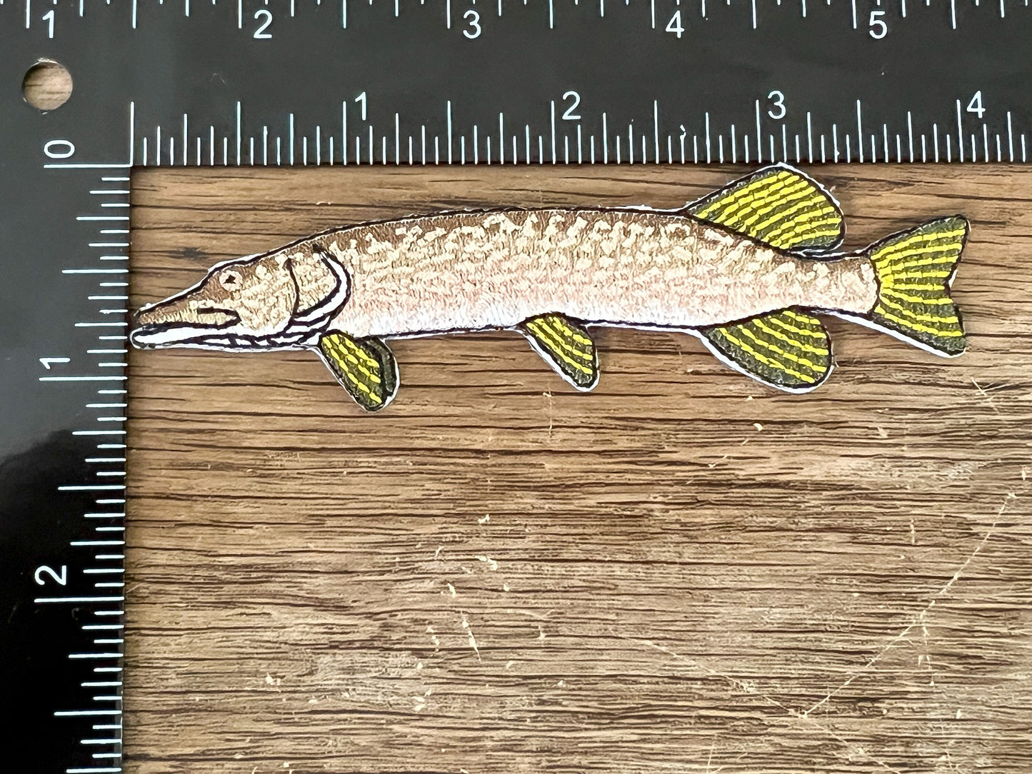 Northern Pike Patch