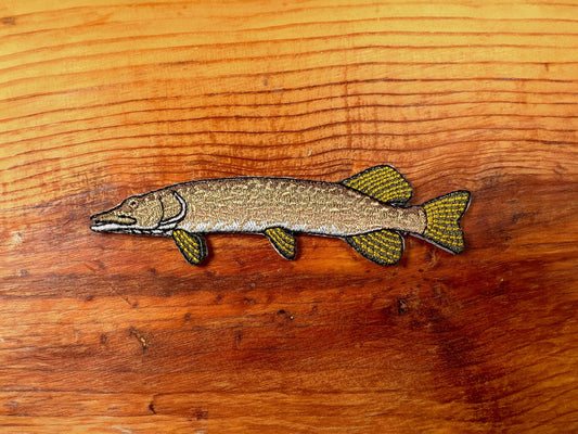 Northern Pike Patch