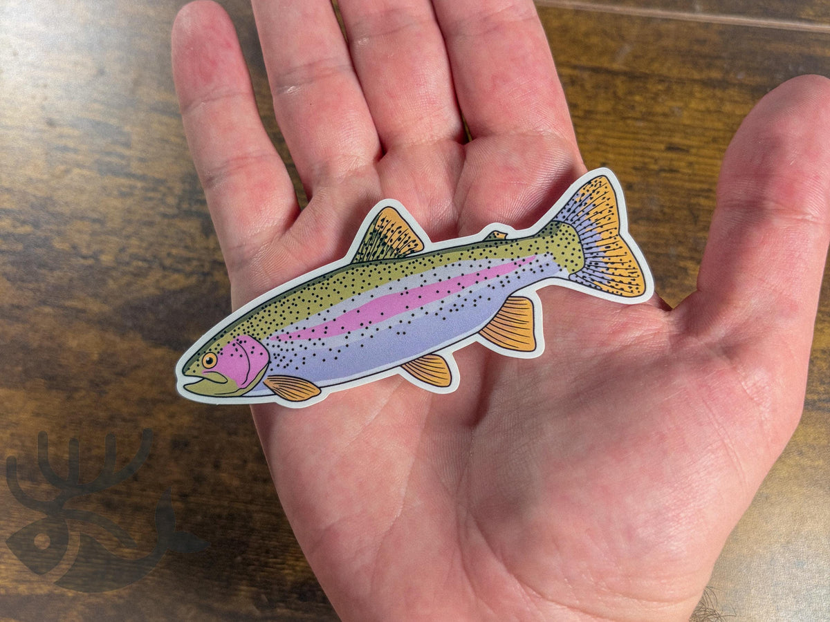Rainbow Trout Sticker, 4 Inch Vinyl Decal